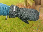 verwarmde kleding 