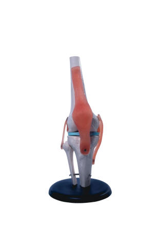 knie