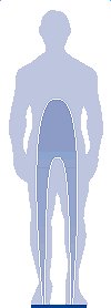 vetmeters