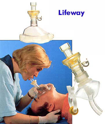 lifeway 