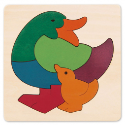 Rainbow Duck E6501